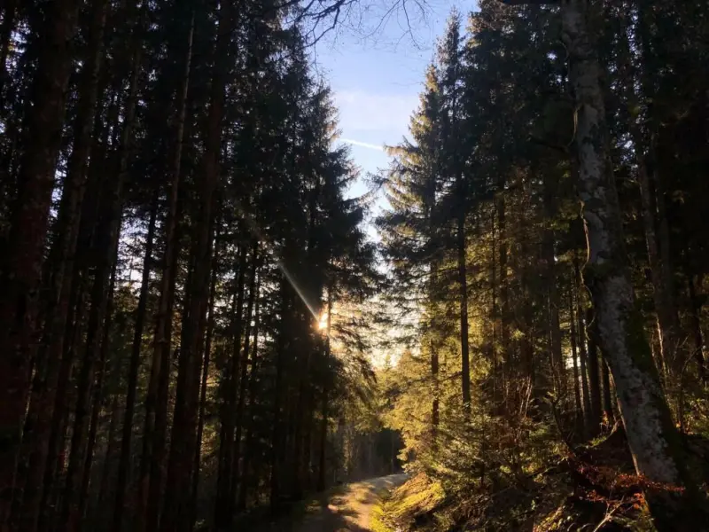Ferienwohnung Todtmoos