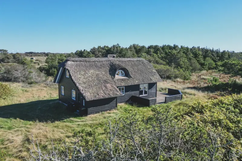 Ferienhaus mit Hund in Skagen fuer max. 6 Personen