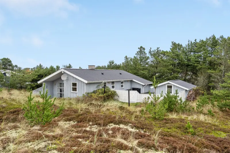 Ferienhaus mit Hund inKlitmøller  f&uuml;r max. 6 Personen
