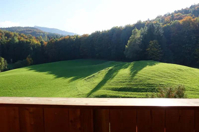 Ferienwohnung in Fuschl am See, Sankt Gilgen f&uuml;r max. 2 Personen