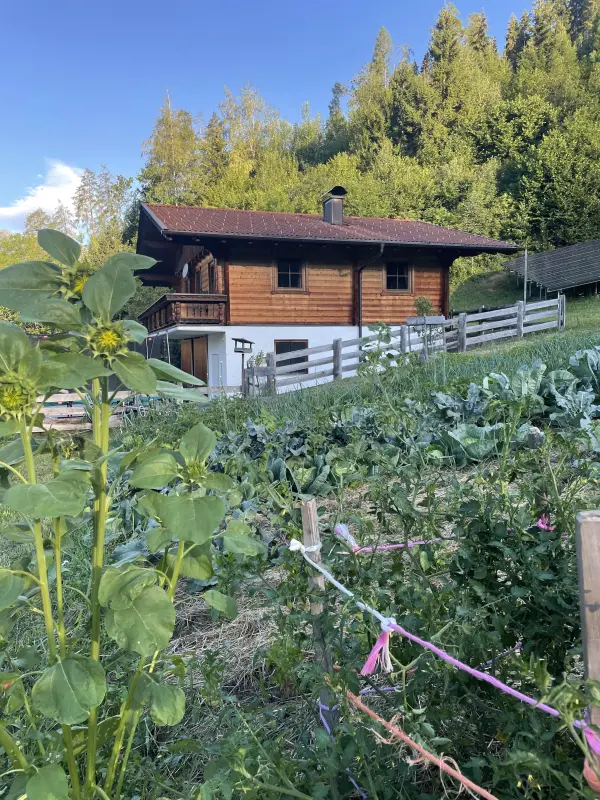 Ferienwohnung  Lienz