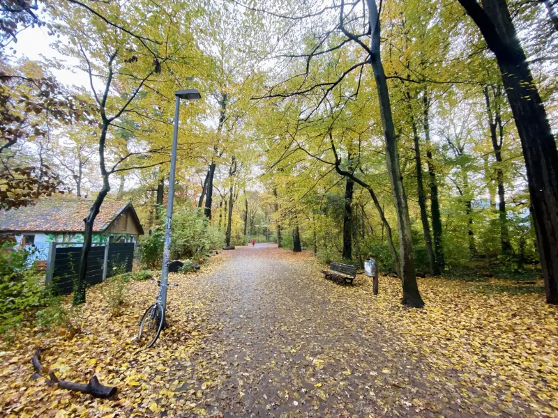 Ferienwohnung Springe