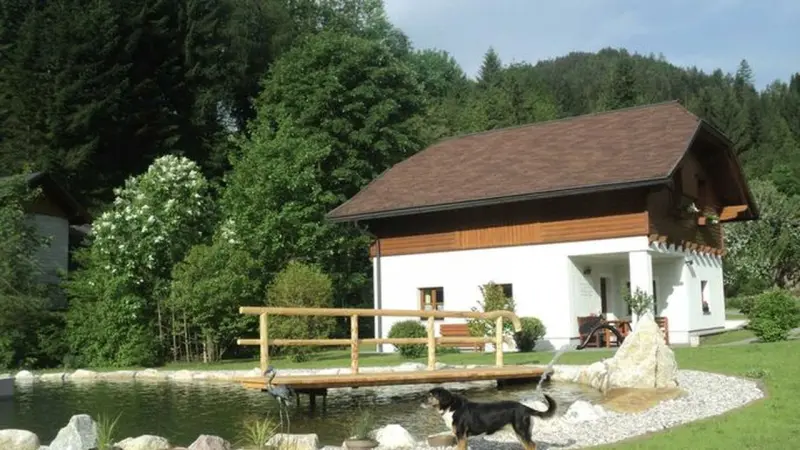 Ferienhaus Eisenwiesen