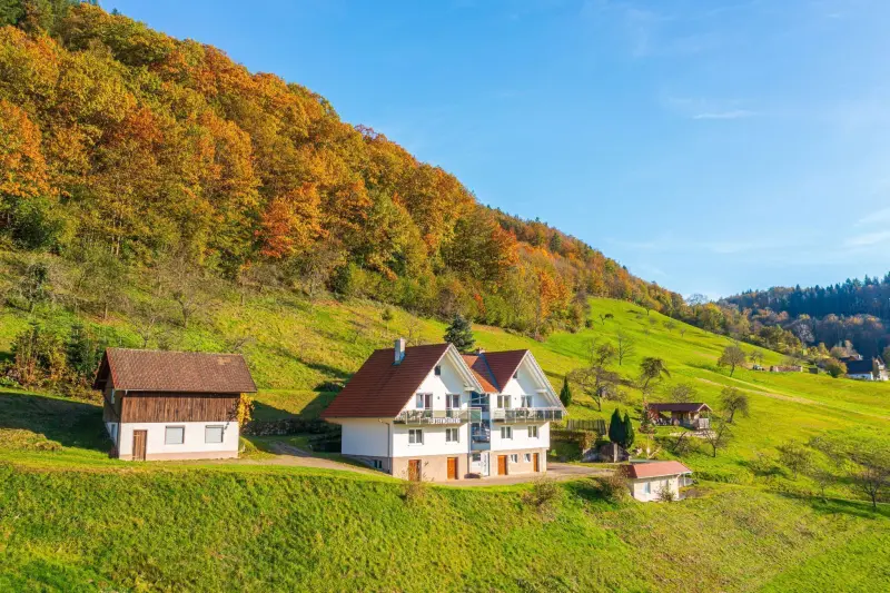 Ferienwohnung  Oppenau