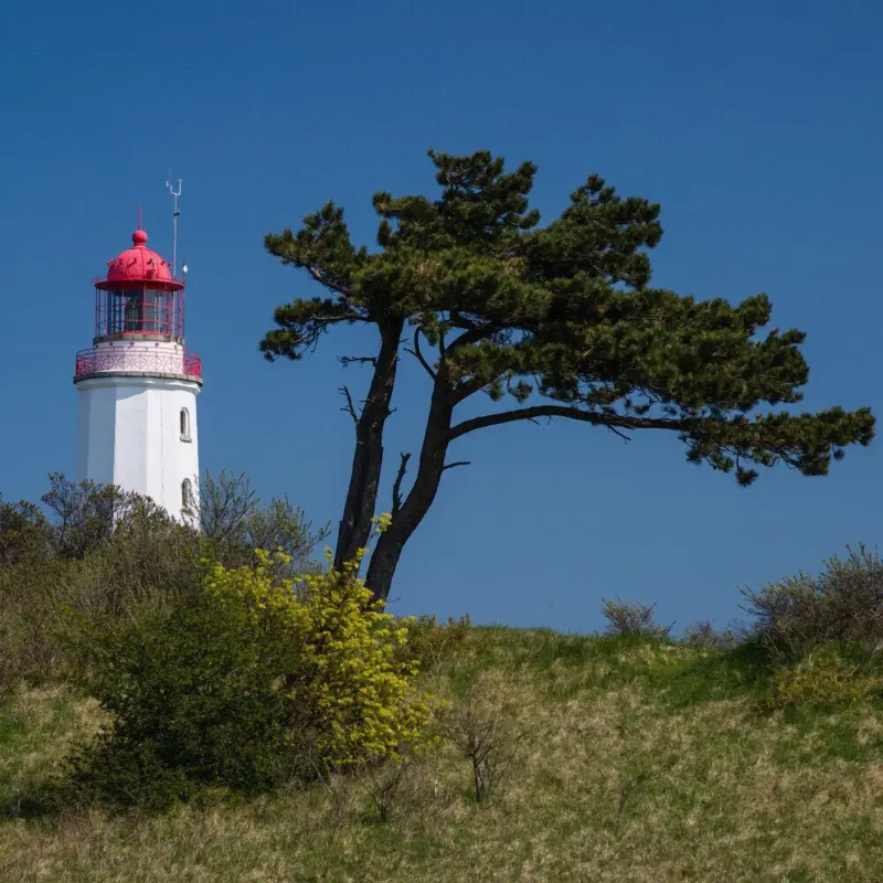Ferienwohnung  Insel Hiddensee