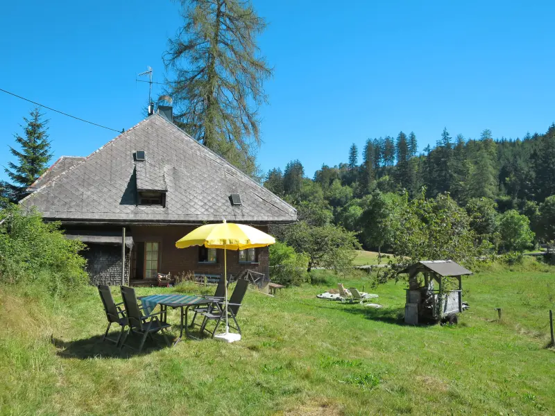 Huis Hinterzarten