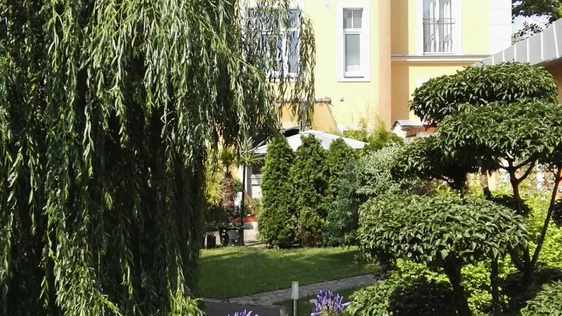 Ferienwohnung  Bühlau