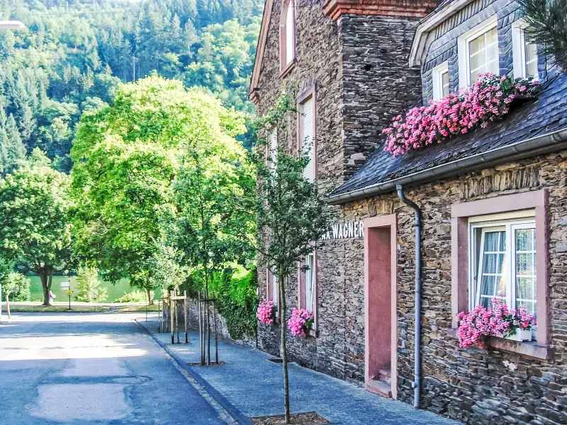 Huis Traben-Trarbach