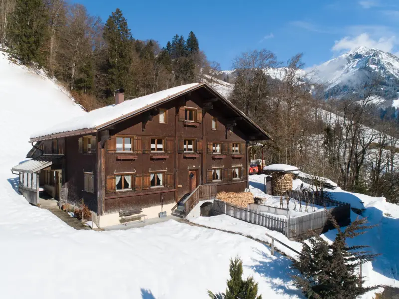 Ferienwohnung Großes Walsertal