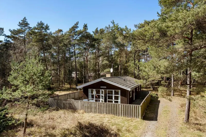 Ferienhaus mit Hund in Dueodde fuer max. 6 Personen
