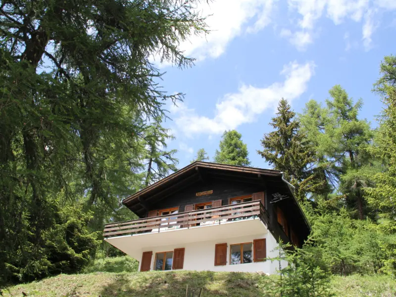 Ferienhaus in Bellwald, Blitzingen f&uuml;r max. 6 Personen