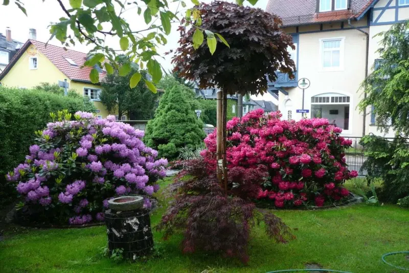 Ferienhaus Ottendorf-Okrilla