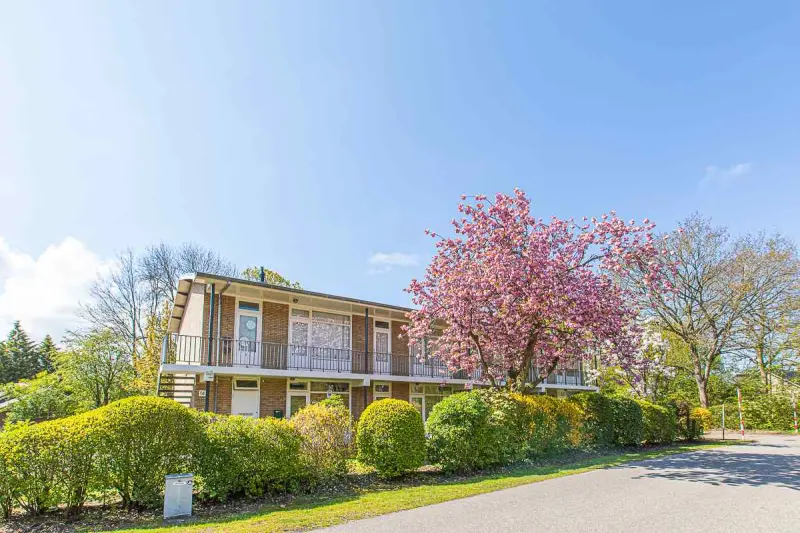 Ferienhaus mit Hund in Oostkapelle fuer max. 4 Personen