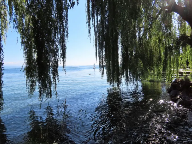 Ferienwohnung in Immenstaad am Bodensee, Bodensee, Österreich