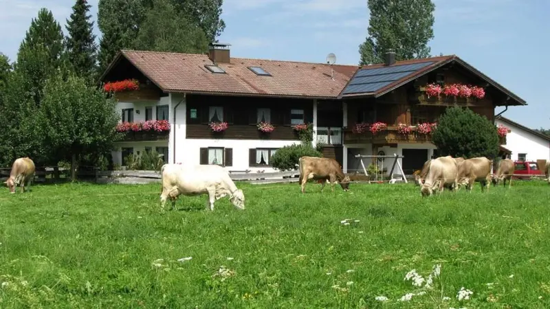 Ferienwohnung  Gunzesried