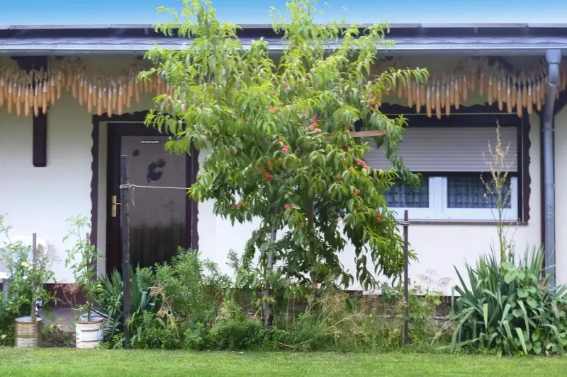 Bungalow Krausnick-Groß Wasserburg