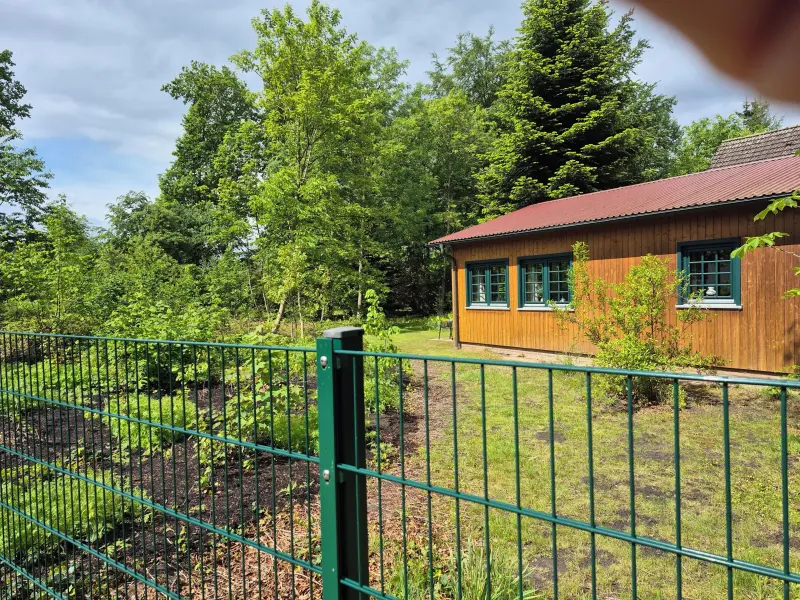 Ferienhaus Damme