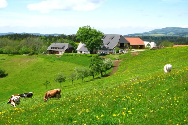 Ferienhaus in Sankt Märgen f&uuml;r max. 4 Personen