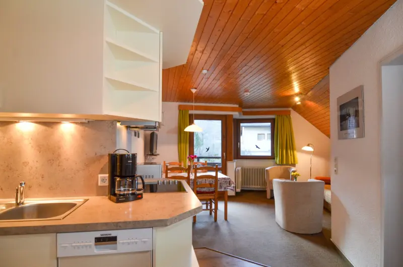 Ferienwohnung  Todtnauberg
