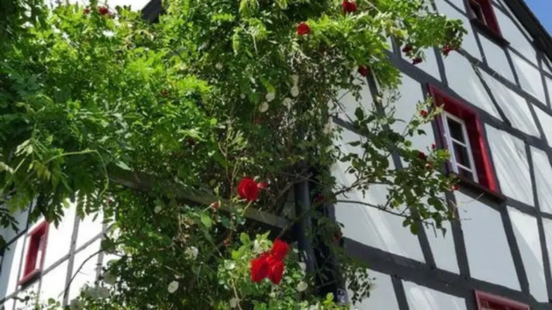 Ferienhaus  Einruhr