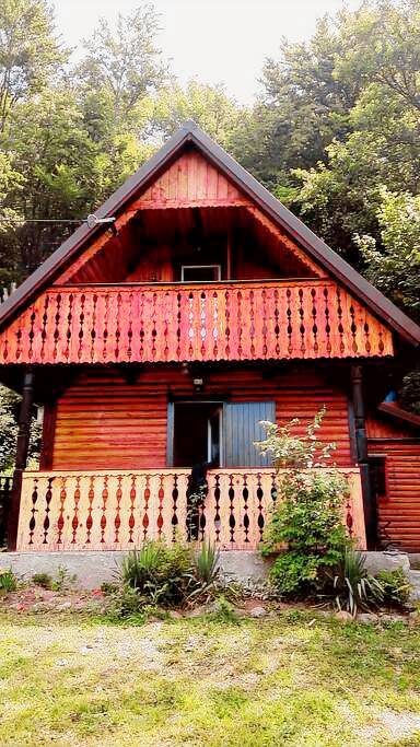 Unusual rental Pet-friendly Baile Tusnad