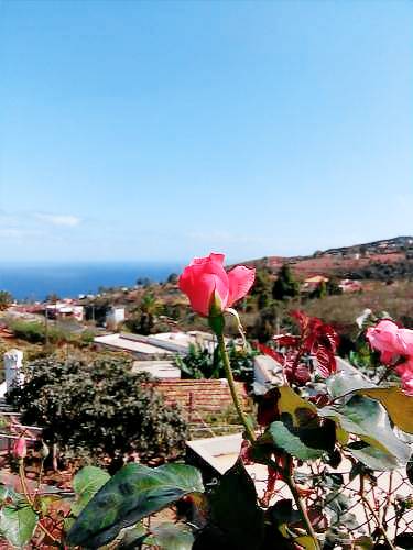 House  Buenavista de Arriba