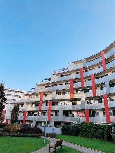 foto1