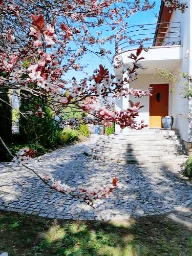 Apartament Polanica-Zdrój
