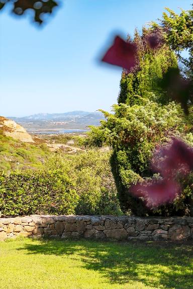Children-friendly pleasant farm with barbeque | Sea view