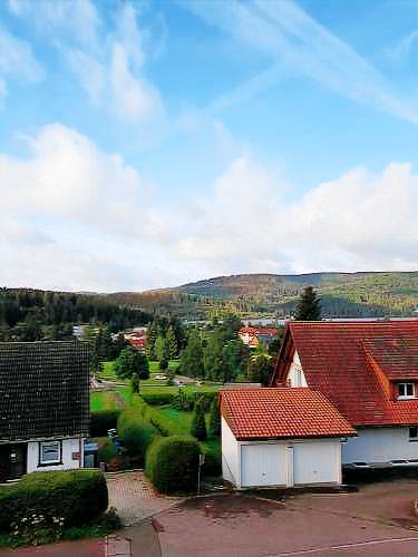 Apartment with yard in Schluchsee