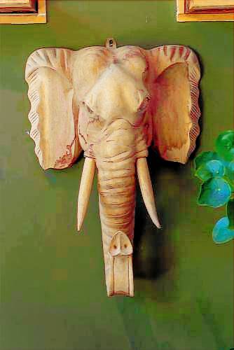 foto2