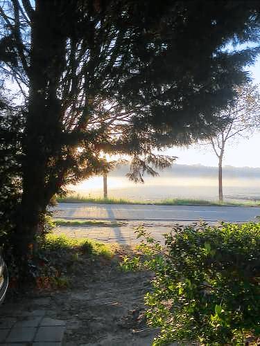 foto4