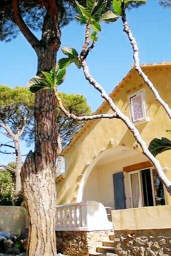 Casa Saint-Tropez