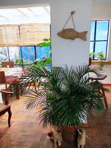 Departamento Coyoacán