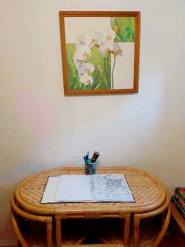 foto2