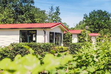 Hut