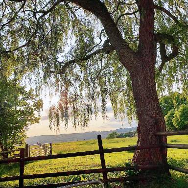 Child-friendly wonderful cottage | Pets are welcome