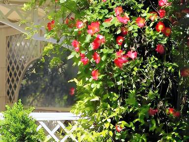 Hotel Saraceno Resort with Private Beach