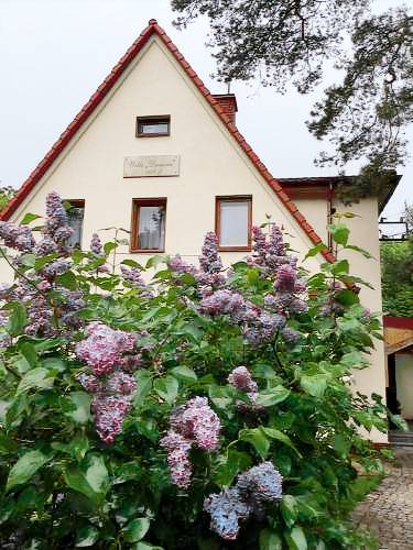 Bed & Breakfast Grodzisk Mazowiecki