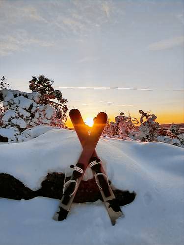 Mökki Aavasaksa