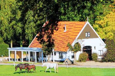 Chalet 35 m²