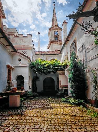 foto2