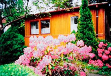 50 m² House