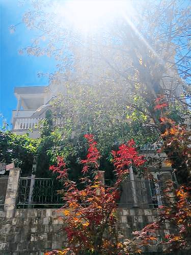 Apartma Budva