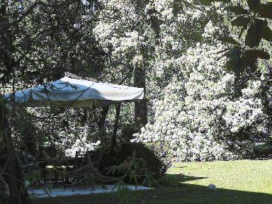 Camera Deluxe con letto matrimoniale o 2 letti singoli, 1 letto king, non fumatori, vista giardino