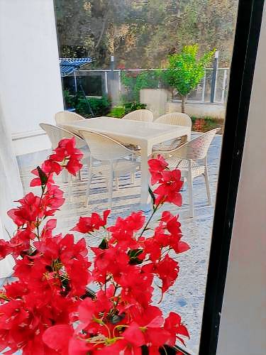 Appartement Kargıcak Mahallesi