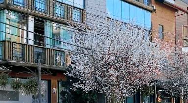 250 m² Apartment