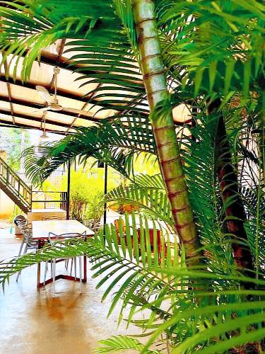 House Krong Siem Reap