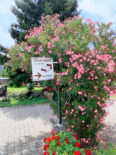 Apartma Plavje