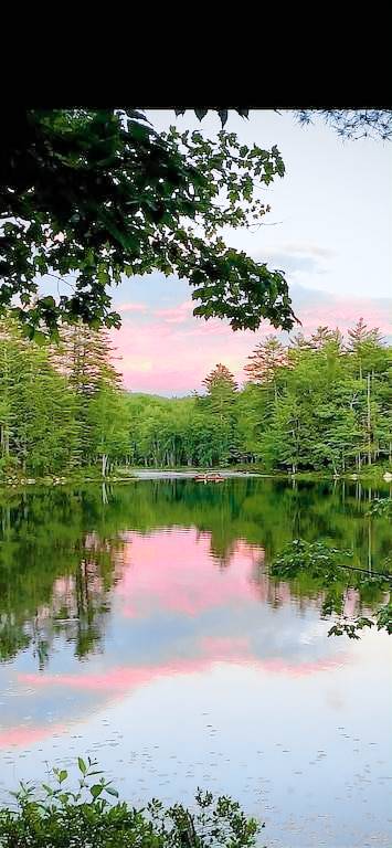 Cabin Sebago